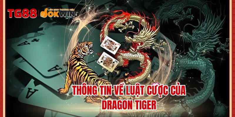 Thông tin về luật cược của Dragon Tiger